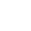Web Pionier Logo